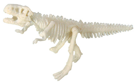 MINI SQUELETTE DE DINOSAURE A GRATTER Bones&More Dig-it-out