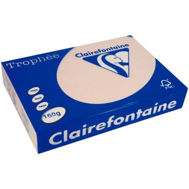 Paquet de 250 feuilles format A4 160g saumon CLAIREFONTAINE