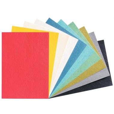 Paquet de 100 couvertures grain cuir 250g A4 coloris assortis