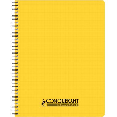 Reliure intégrale 100 pages CONQUERANT PP, 17x22 cm, 5x5, assortis