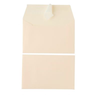 Paquet de 20 enveloppes Pollen 90x140mm 120g ivoire