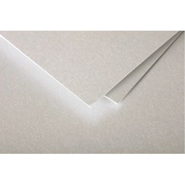 Paquet de 25 cartes Pollen 110x155mm 210g argent