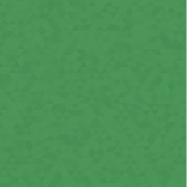 Chemise 3 rabats à élastiques TOP FILE+ en carte lustrée 4/10e 390g, vert