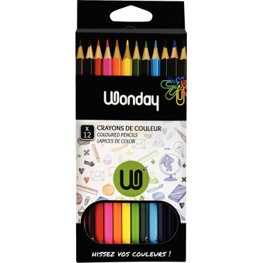 Étui de 12 crayons de couleur assortis