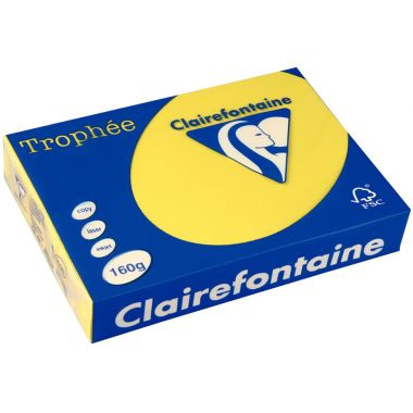 Paquet de 250 feuilles format A4 160g soleil CLAIREFONTAINE