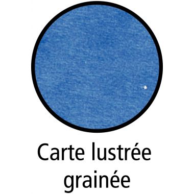 BTE CARTE GRAINEE DOS40MM BLEU