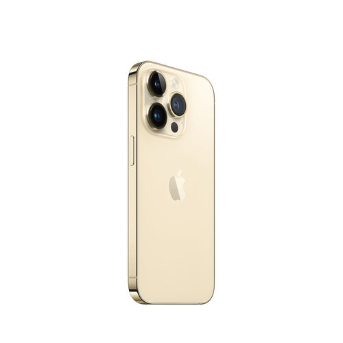 Apple iPhone 14 Pro 15,5 cm (6.1") Double SIM iOS 17 5G 128 Go Or